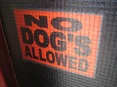 No Dogs Allowed