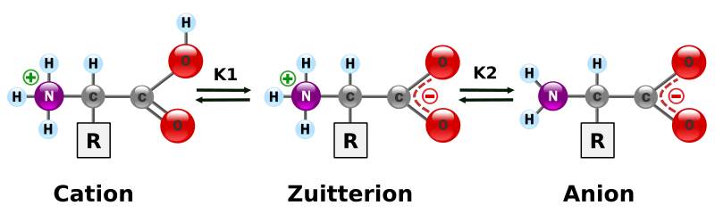 hibridos