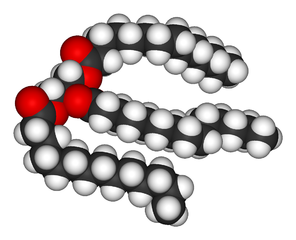 Triglicérido